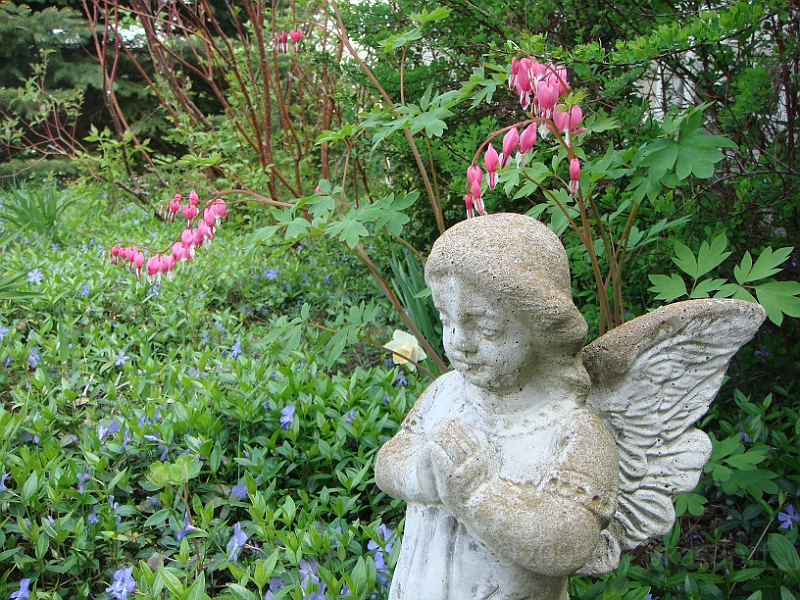 73 Nancy's Garden [2009 May 10].JPG - Nancy's Garden.